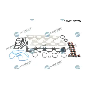 DRM310202S Dr.Motor Automotive