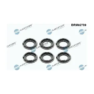 DRM02789 Dr.Motor Automotive
