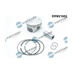 DRM21602 Dr.Motor Automotive