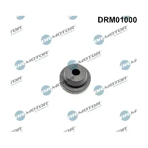 DRM01000 Dr.Motor Automotive