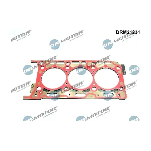 DRM21231 Dr.Motor Automotive