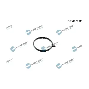 DRM02922 Dr.Motor Automotive