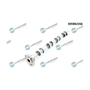 DRM02888 Dr.Motor Automotive