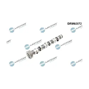 DRM02872 Dr.Motor Automotive