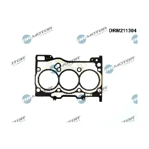 DRM211304 Dr.Motor Automotive