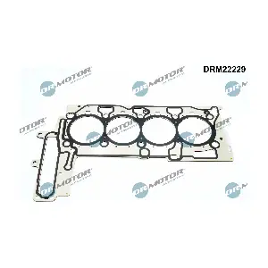 DRM22229 Dr.Motor Automotive