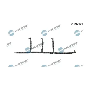 DRM2101 Dr.Motor Automotive