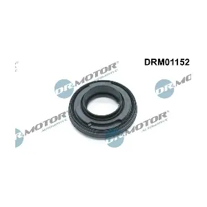 Dr.Motor Automotive DRM01152