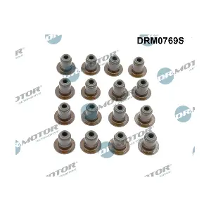 DRM0769S Dr.Motor Automotive