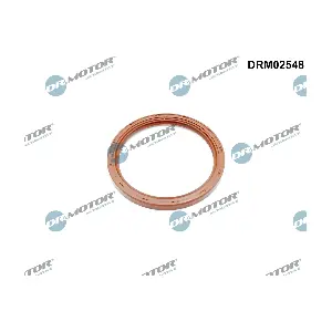DRM02548 Dr.Motor Automotive