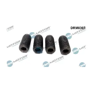 DRM0307 Dr.Motor Automotive
