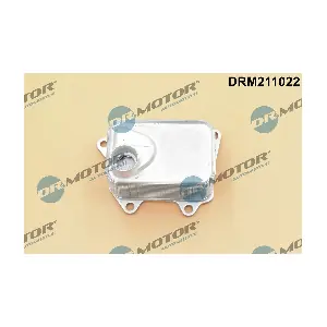DRM211022 Dr.Motor Automotive