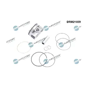 DRM21609 Dr.Motor Automotive