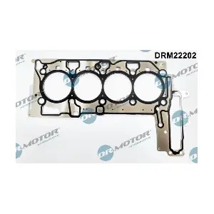 DRM22202 Dr.Motor Automotive