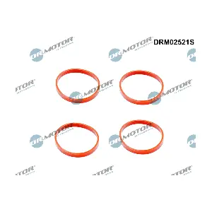 Dr.Motor Automotive DRM02521S