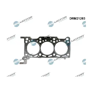 DRM21263 Dr.Motor Automotive