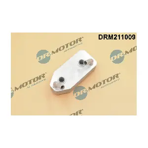 DRM211009 Dr.Motor Automotive