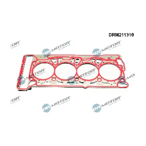 DRM211310 Dr.Motor Automotive