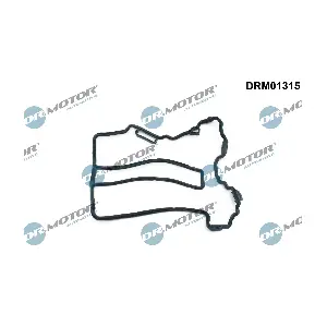 DRM01315 Dr.Motor Automotive