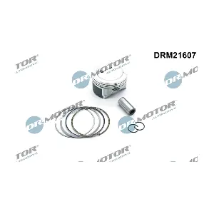 DRM21607 Dr.Motor Automotive