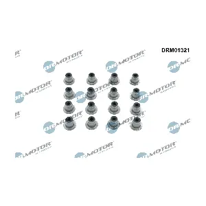 Dr.Motor Automotive DRM01321