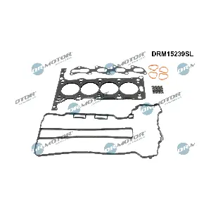 DRM15239SL Dr.Motor Automotive