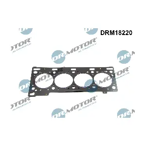 DRM18220 Dr.Motor Automotive