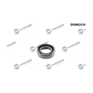 DRM02939 Dr.Motor Automotive