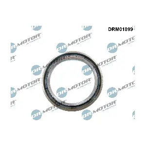 Dr.Motor Automotive DRM01899