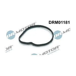 DRM01181 Dr.Motor Automotive