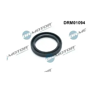 DRM01094 Dr.Motor Automotive