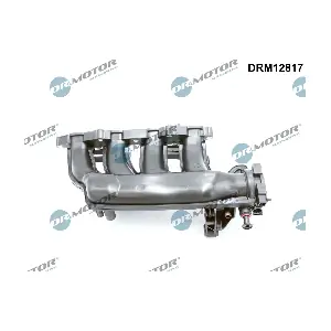 DRM12817 Dr.Motor Automotive