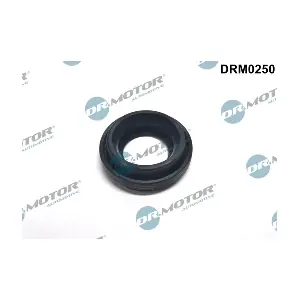 DRM0250 Dr.Motor Automotive