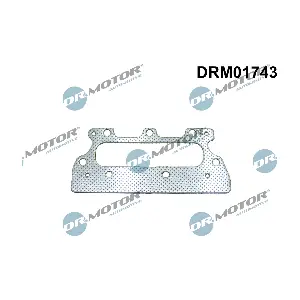 DRM01743 Dr.Motor Automotive