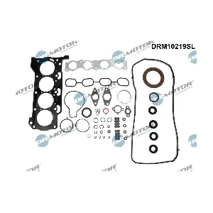 DRM10219SL Dr.Motor Automotive
