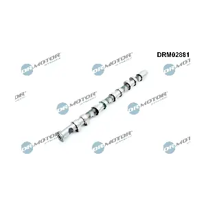 DRM02881 Dr.Motor Automotive