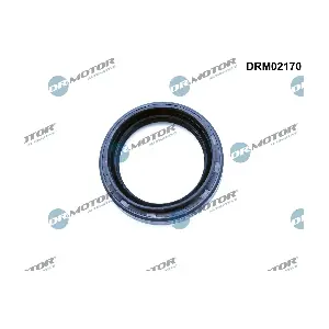 DRM02170 Dr.Motor Automotive