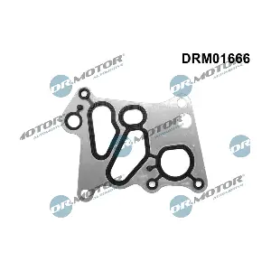 DRM01666 Dr.Motor Automotive