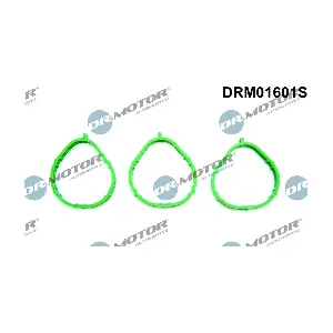 Dr.Motor Automotive DRM01601S