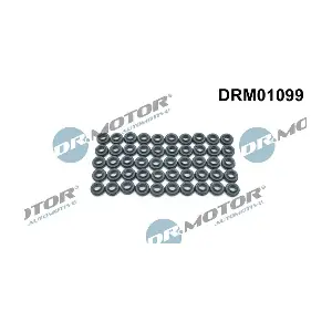 DRM01099 Dr.Motor Automotive
