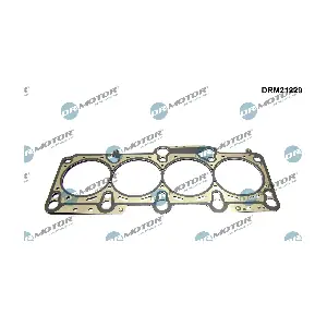 DRM21229 Dr.Motor Automotive