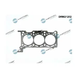 DRM21262 Dr.Motor Automotive