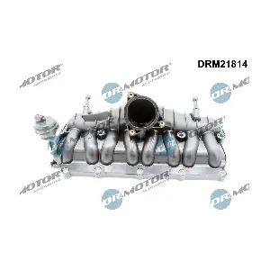 DRM21814 Dr.Motor Automotive