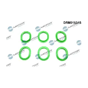Dr.Motor Automotive DRM01631S