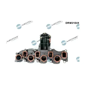 DRM21841 Dr.Motor Automotive