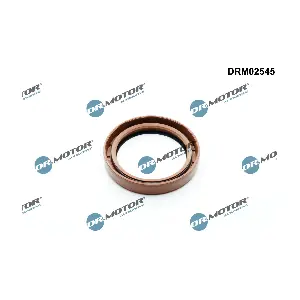 DRM02545 Dr.Motor Automotive