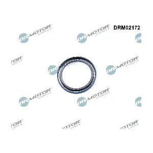 DRM02172 Dr.Motor Automotive