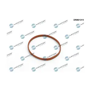Dr.Motor Automotive DRM01319