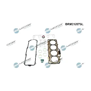 DRM21287SL Dr.Motor Automotive