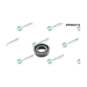 DRM02519 Dr.Motor Automotive